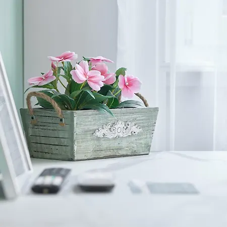 Leila's Forever - * Bergamo